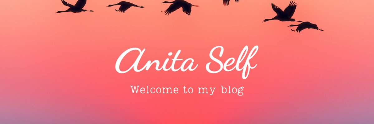 Here’s why I started a blog