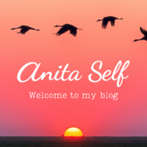 Here’s why I started a blog